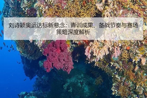 刘诗颖奥运达标新悬念：青训成果、备战节奏与赛场策略深度解析